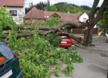 Kwikfynd Tree Cutting Services
germantownvic